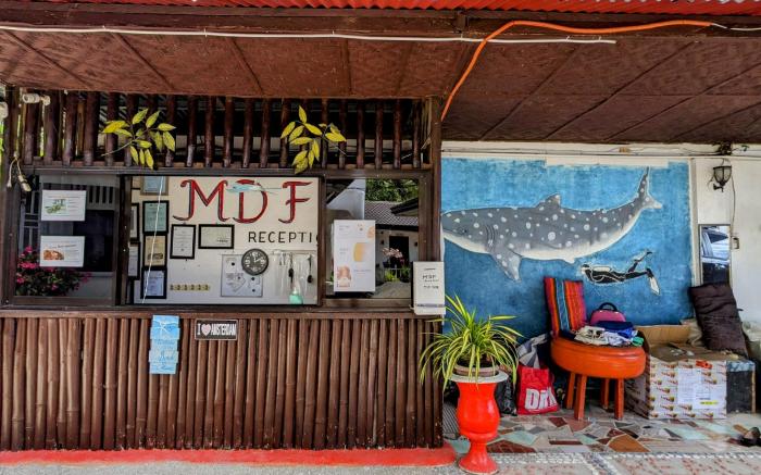 MDF Beach Resort and Day Tours near Whalesharks