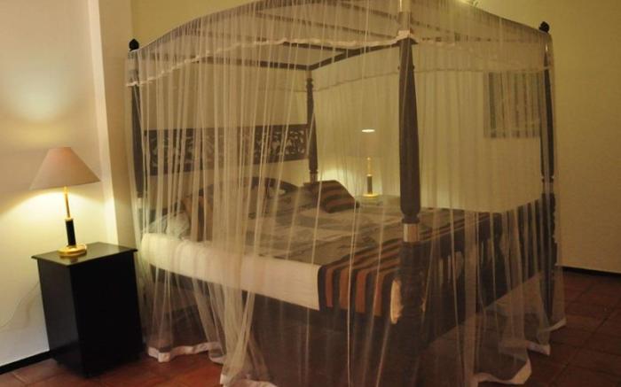 Asantha Guest House 