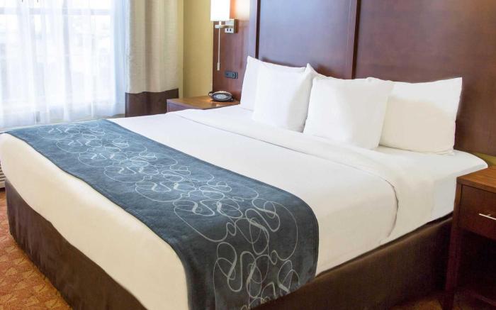 Comfort Suites Fort Worth North Fossil Creek