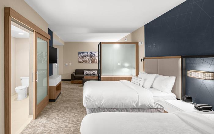SpringHill Suites by Marriott Jackson