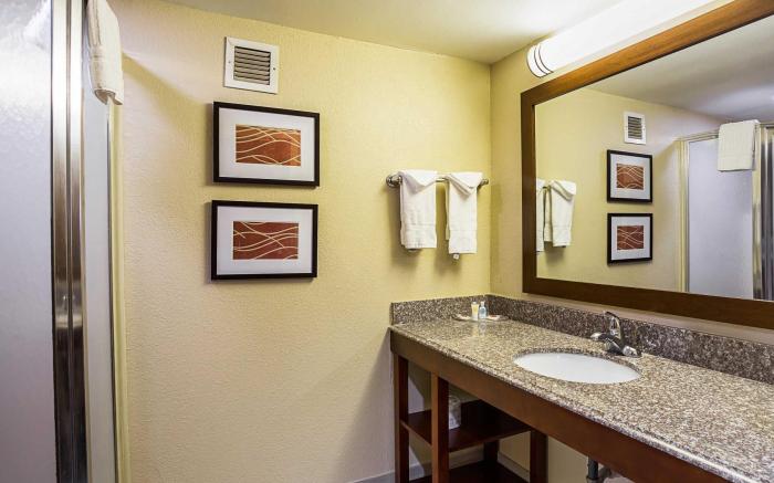 Comfort Inn University Area