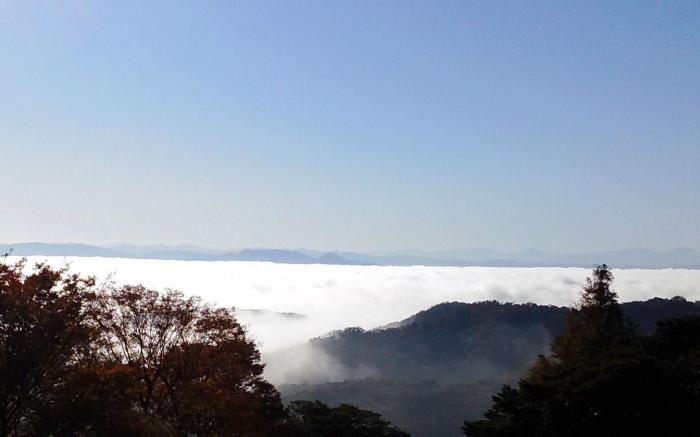 Mt. Ichibata Cottage Villa
