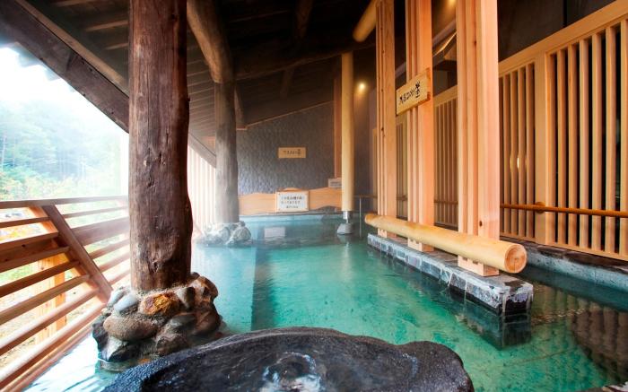 Shinappi Onsen Seiryukaku