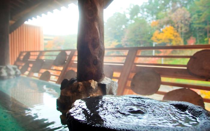 Shinappi Onsen Seiryukaku