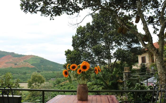 Ivory Falls Villa
