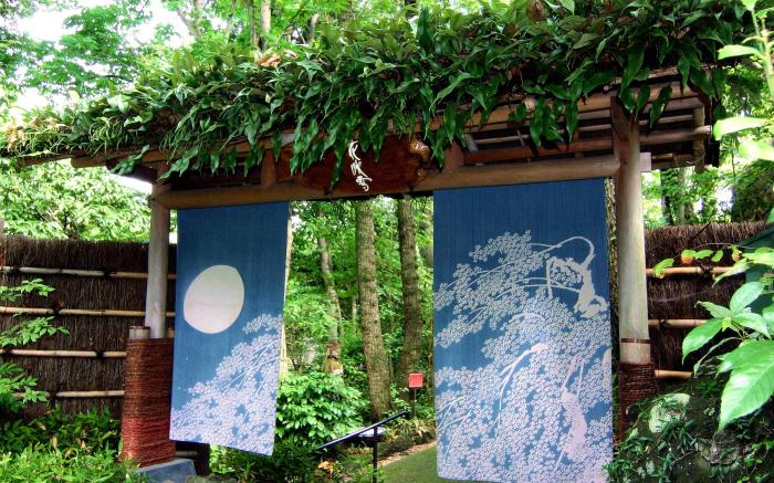 Izukogen Shirogasaki Onsen Hanafubuki