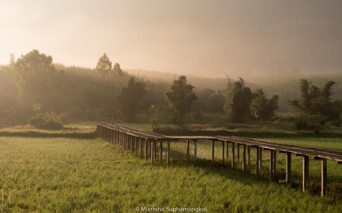Phuruarounmai Resort