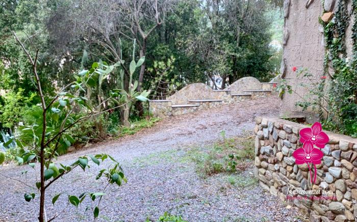 Residenza Locci - Rooms & Apartments