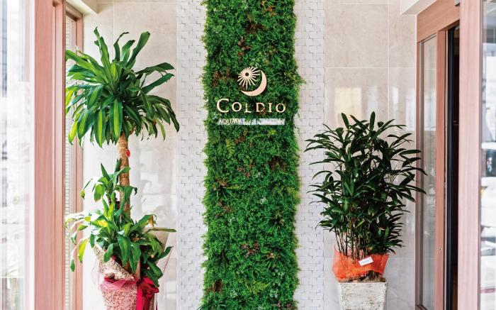 Aqua Palace Chatan by Coldio Premium [Okinawa Main island]