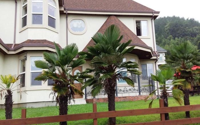 Pension Manoa