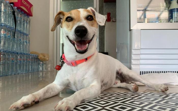 Phangan Hometown Resort - Adults Only