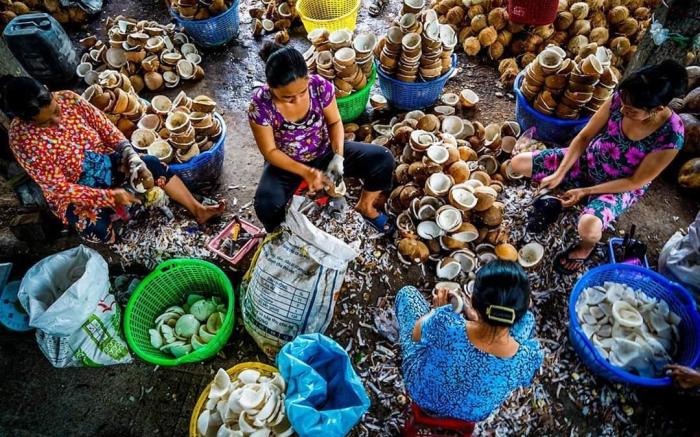 Coco Happy Farm 
