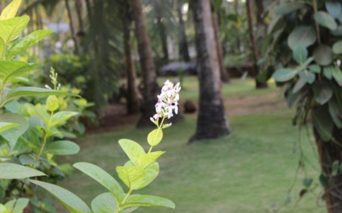 Vila Goesa on the Beach Resort