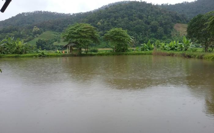 Samoeng fishing park @ home stay