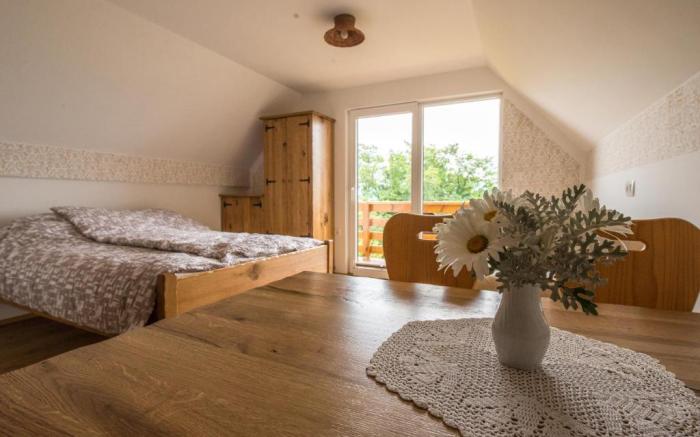 Vineyard cottage Rataj 2