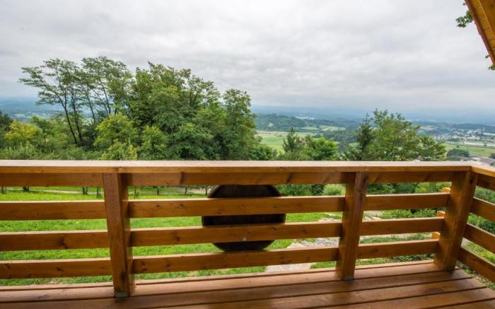 Vineyard cottage Rataj 2