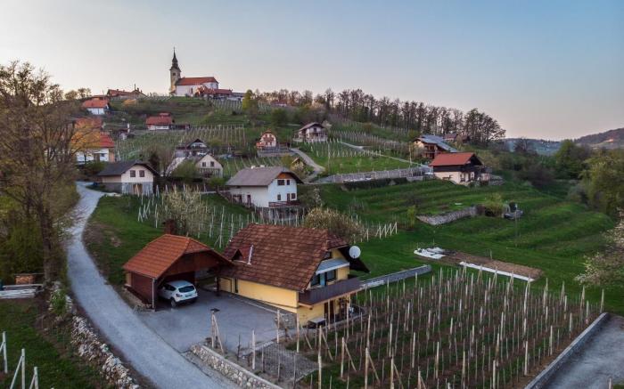 Vineyard cottage Hocevar