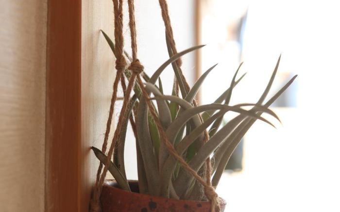 TeraseHouse@Family-Friendly&Spacious 3min to Sta.