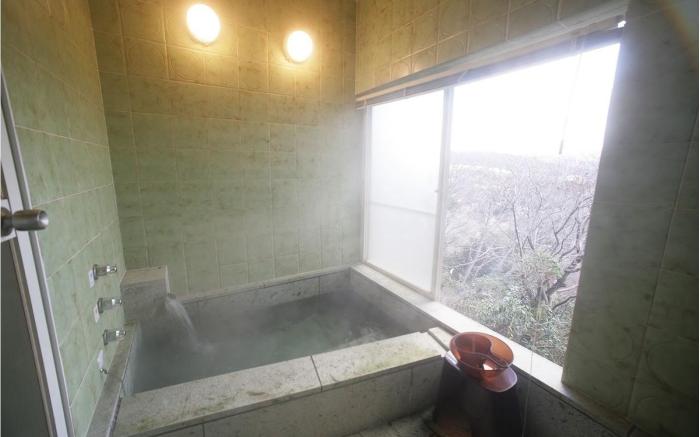 iHouse Ataminchi - panoramic view of Atami City 