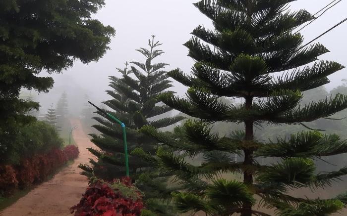 Rai Rung Khao Kho Resort(ไร่รุ่งเขาค้อรีสอร์ท)