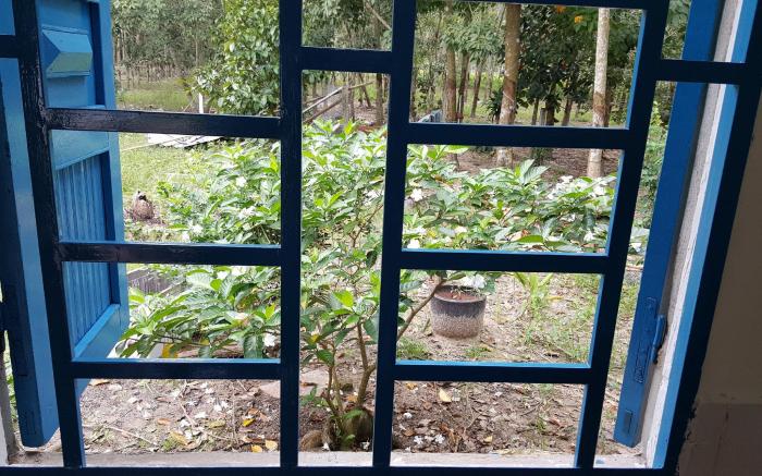 Pika farmstay (homestay)