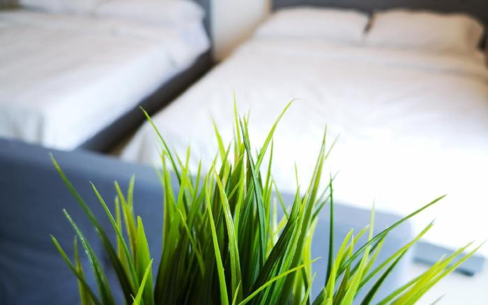 Machome GuestHome 5-pax Suite I