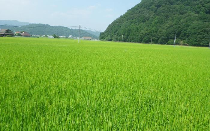 Wealthy Farmer's House in Hiroshima