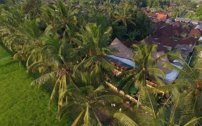 Nature & Relax, 1 BR, rice fields view