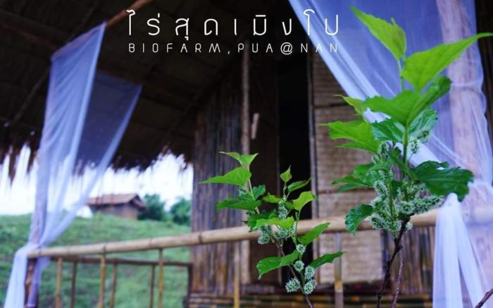 Room 2 - Raisudmeungpo Biofarm