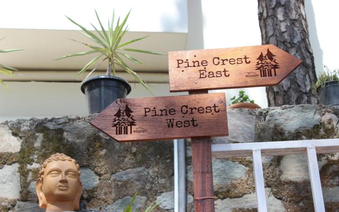 Pine Crest East Menage- A picturesque hideaway