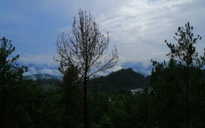 Berjaya hills Sweet Homestay B210