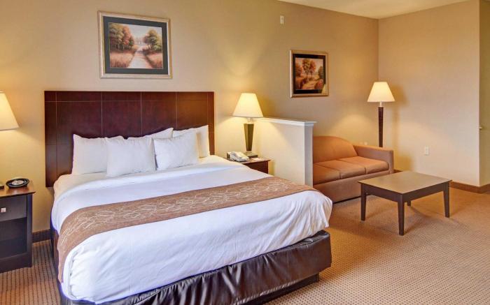Comfort Suites Roanoke - Fort Worth North