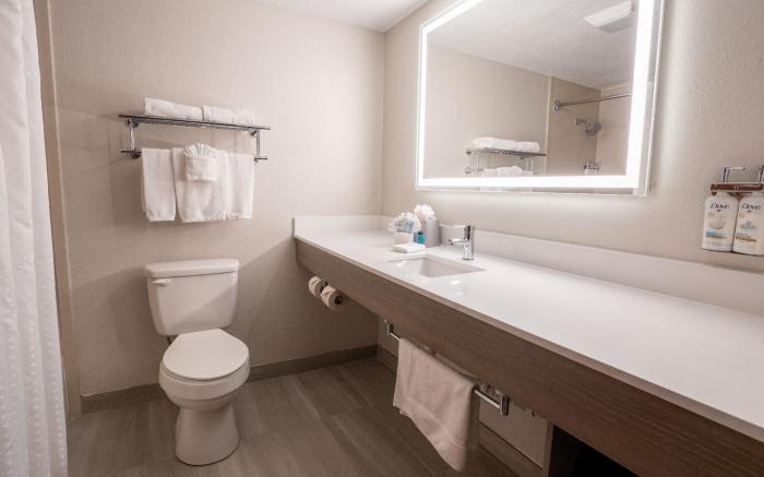 Holiday Inn Express Hotel & Suites Orange City By IHG