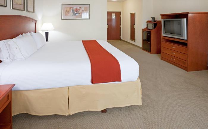 Holiday Inn Express Hotel & Suites Decatur, TX By IHG