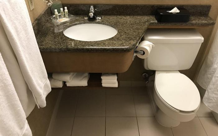 Holiday Inn Johnstown-Downtown By IHG