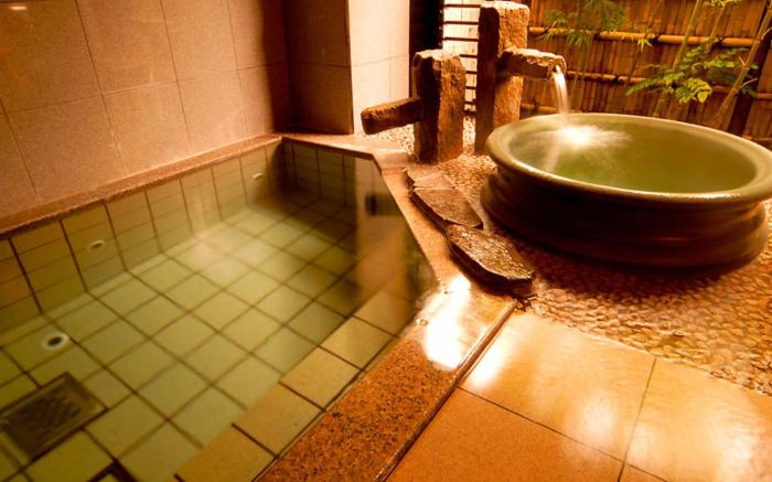 Mizu no Sato Marukyu Ryokan