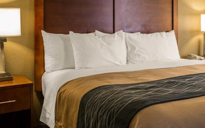 Comfort Inn Elizabeth City near University