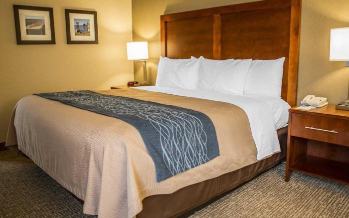 Comfort Inn Elizabeth City near University