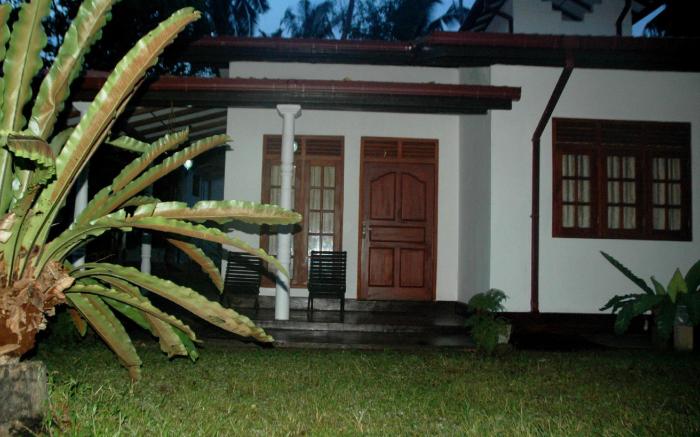 Bird Villa