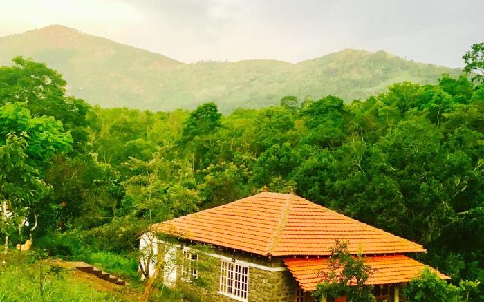ZACS Valley Resort