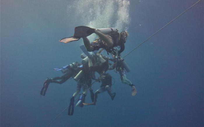 The Sharks Tail Dive Resort
