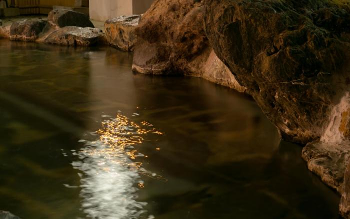 Kinugawaonsen Monogusanoyado Hanasenkyo