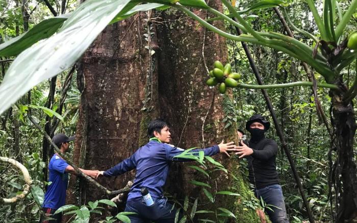 Thansur Tatai Eco Resort