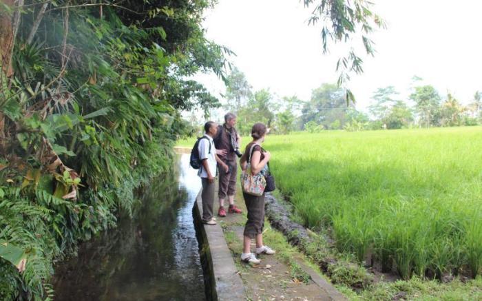 De Klumpu Bali Eco Tradi Stay