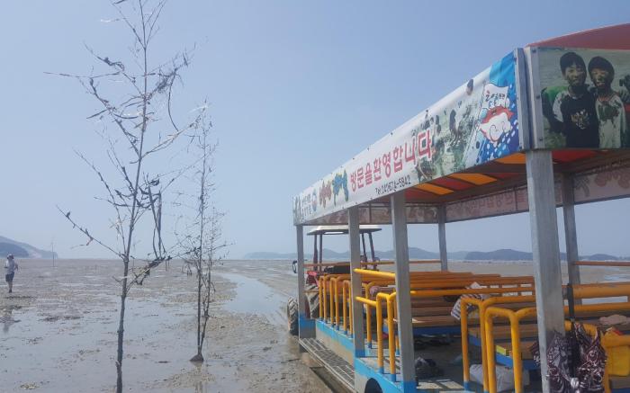 Taean Mom-villagee Caravane