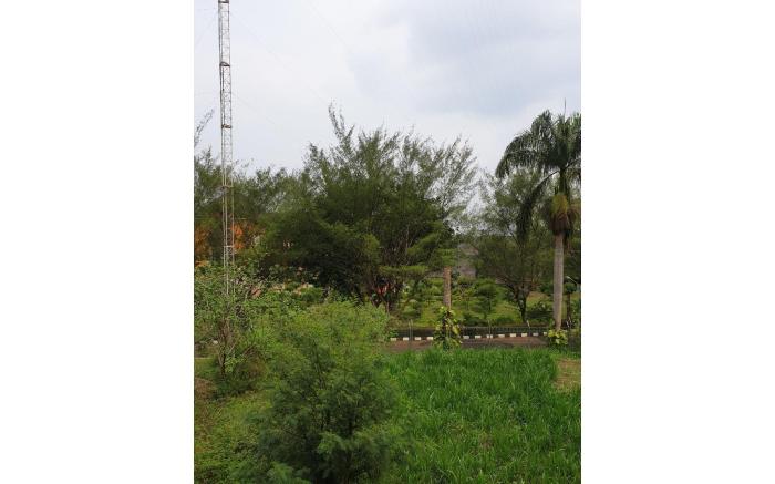 Green Homestay