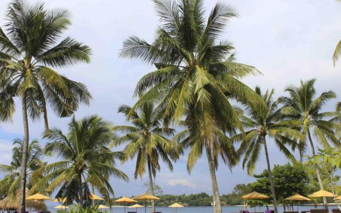 Anema Wellness and Resort Gili Lombok