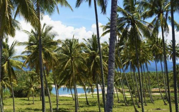 Anema Wellness and Resort Gili Lombok