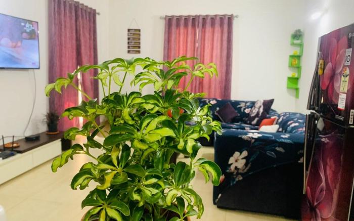 Heart full Home 1BHK Cozy Apartment 