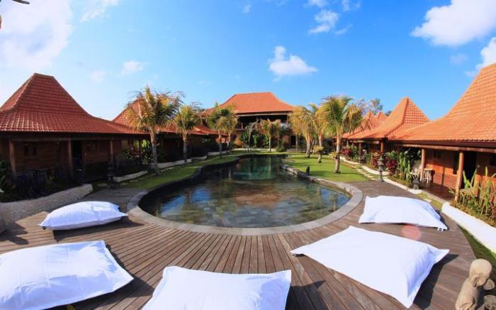 Yoga Searcher Bali